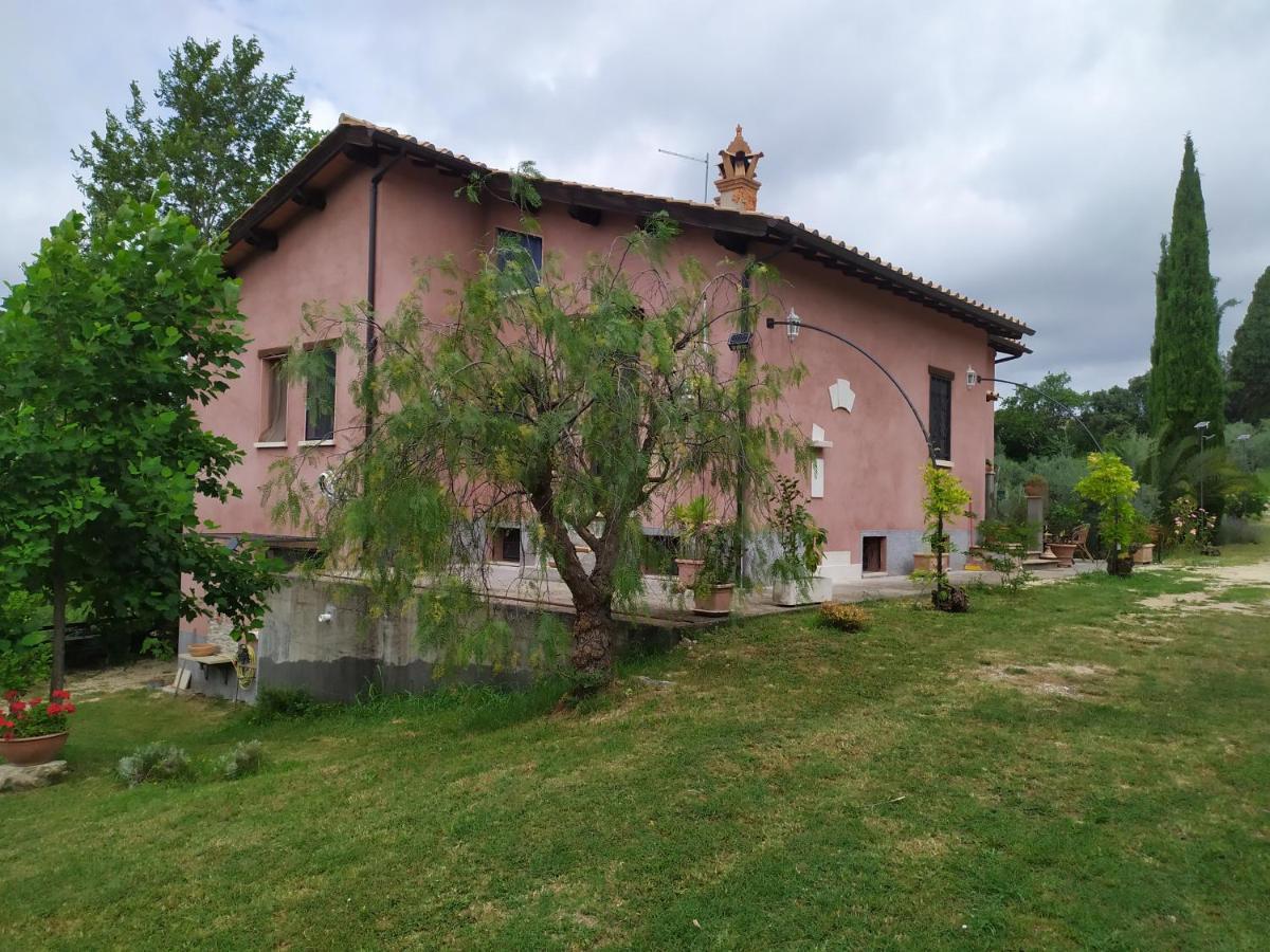 Casa Nupa Daire Torri in Sabina Dış mekan fotoğraf