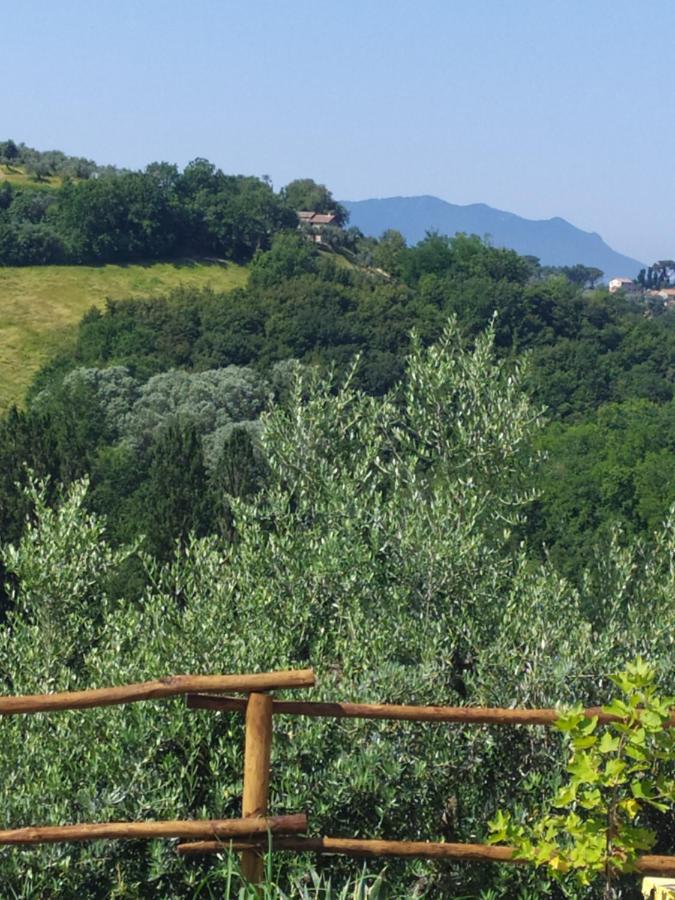 Casa Nupa Daire Torri in Sabina Dış mekan fotoğraf